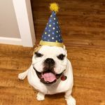 Franklin Evans-Steele - @franklinthetanklin69 - Instagram