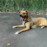 Franklin Goodboy Stephens - @itsfreakinfranklin - Instagram