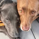 Hazel Nut May & Franklin T. Stephens - @hazeitsfranklin - Instagram