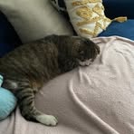 Franklin Stevenson - Facebook