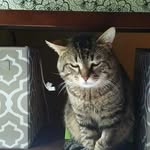 Franklin Fred Stroud - @green_eyed_boy24 - Instagram