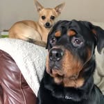Stuart Franklin - @stuart._.franklin_ - Instagram