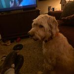 Frank Trapp - @franklintrapp - Instagram