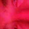 frank tribble - @franktribble7 - TikTok