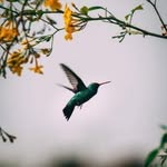 Franklin Gutiérrez - @franklinwaldemar7 - Instagram