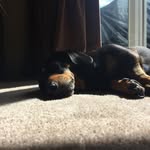 Franklin_Wall - @franklin_wall - Instagram