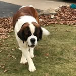 Franklin Wall - @wall_franklin - Instagram