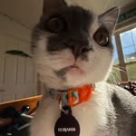 Benjamin Franklin Gus Waters - @bitingbenji - Instagram