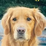 Benny - @benjaminfranklinwaters - Instagram