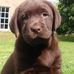 Franklin Weiss - Facebook