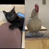 Franklin_Winter_&_friends - @franklin_winter_official - TikTok