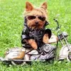 Franklin Winters - @franklin.winters - TikTok