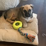 @franklinwinterbottom - Instagram