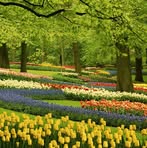 Frantz Hector - Facebook