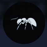frantz _jean _pierre $$ - @frantz_jean_pierre_ - Instagram