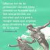 Frantz Jean - Facebook