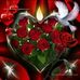 Frantz Raymond - Facebook