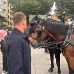Simon Frantzich - @frantzichsimon - Instagram