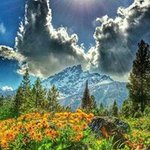 Thomas Frantz - @thomas.frantz.7 - Instagram