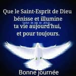 Frantz Voltaire - @voltairefrantz - Instagram