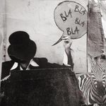 Franz Andersen - @franzandersen - Instagram