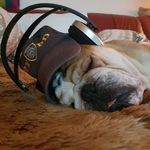 Franz Dorner - @dorner_franz - Instagram
