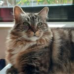 Franz Funk - @franz.funk.7 - Instagram