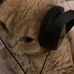 Franz Gabriel - Facebook