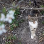 Franz Holzer - @holzer0407 - Instagram