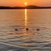 Franz Hutter - Facebook