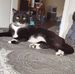 Franz Johnson - Facebook