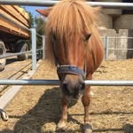 Franz Jung - @franz.jung.376 - Instagram