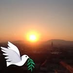 Franz Kaufmann - @f.kaufmann - Instagram