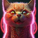 Franz Kindel - Facebook