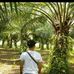 Franz Lee - Facebook