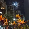 Franz Monroy - @franz.monroy6 - TikTok