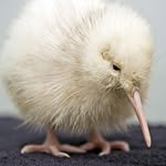 Franz Prohaska - @prohaska_franz - Instagram