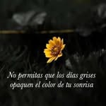 Franz Marco Cruz Salas - @franzmarcocruz - Instagram