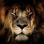 Franz Schiller - @fschiller.1981 - Instagram