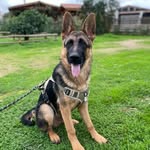 Franz Schreiber Manás - @franzschreibermanas - Instagram