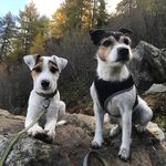 Schreiber Franz - @franz.schreiber - Instagram
