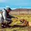 Franz - @franz.singer - TikTok