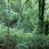 Franz Singer - @franz.singer8 - TikTok