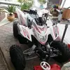 franzsinger7 - @franzsinger7 - TikTok