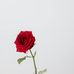 Francis Francis - Facebook