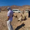 franzstevensaarm - @franzstevensaarm - TikTok