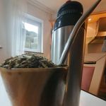 franzthiessen - @franzthiessen6 - Instagram