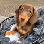 Franz Pelger - @franz_von_der_kufue - Instagram