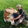 Franz von LA - @franz.von.la - TikTok