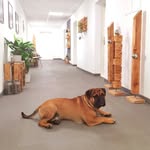 Franz von Stechow - @franz_von_stechow - Instagram